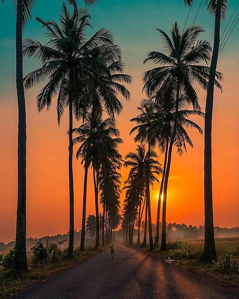 Road in Goa