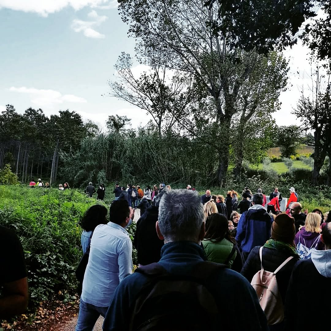 Walking among olive groves is part of the New Olive Oil Festival programme and celebrates the profound connection between landscape, community, and tradition