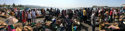 Traditional fish market in Tarkali