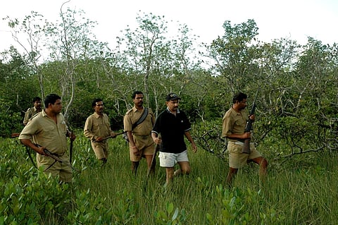 IFS Pradeep Vyas as field director, Sundarban Tiger Reserve, patrolling in the core area of the Sundarbans