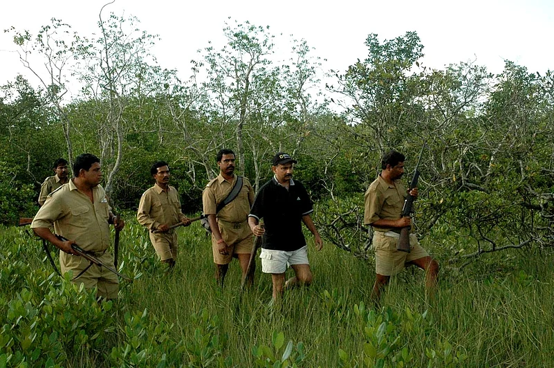 IFS Pradeep Vyas as field director, Sundarban Tiger Reserve, patrolling in the core area of the Sundarbans