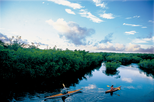 Kayaking in Florida Keys