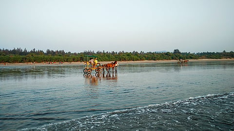 Family enjoying a horse cart ride on Diveagar beach 