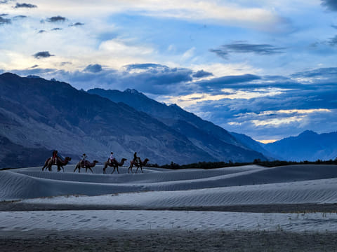 The drive to the sky — Khardung La & Nubra Valley
