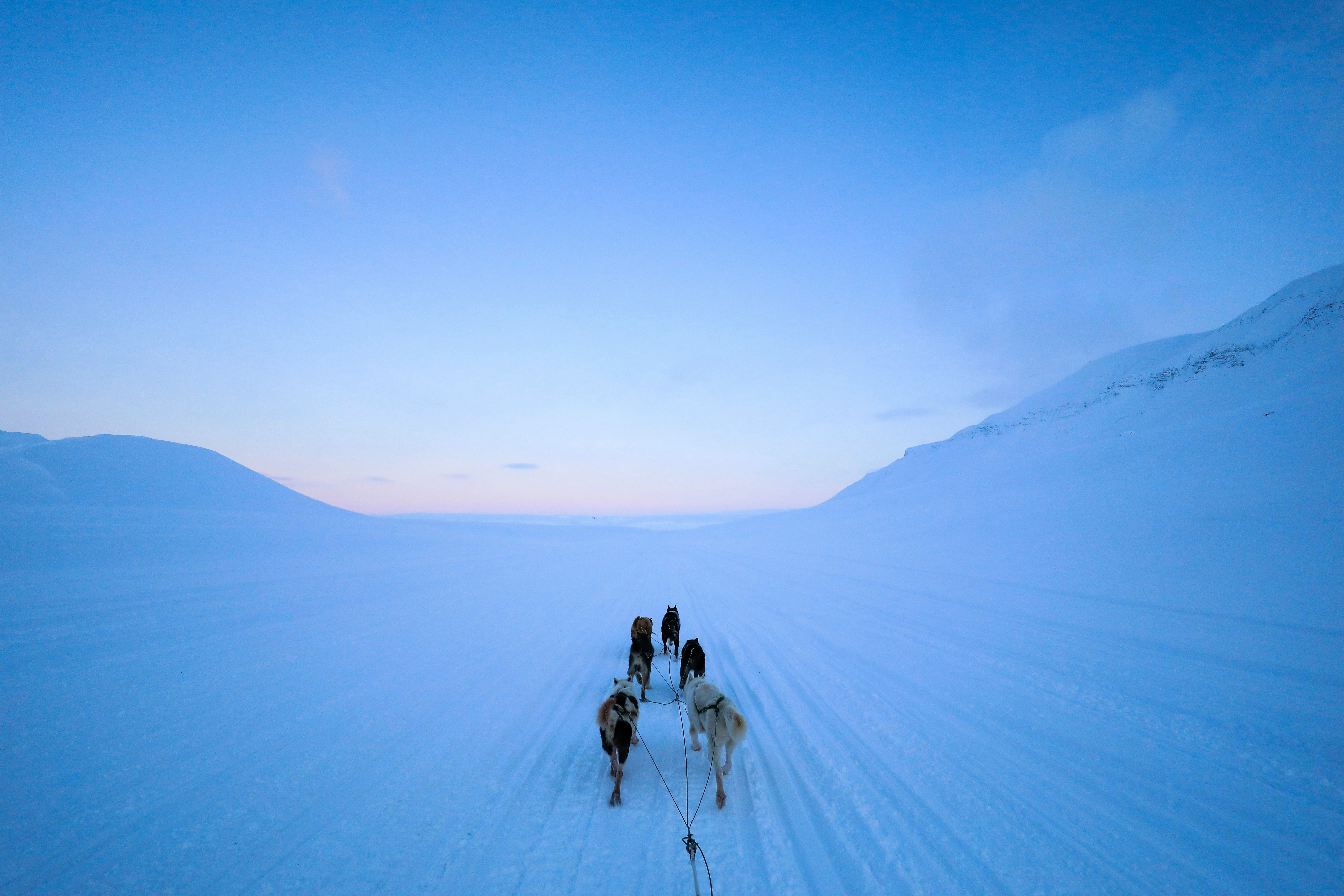 Dog sledging in Norway is winter travel powered by paws and pure exhilaration