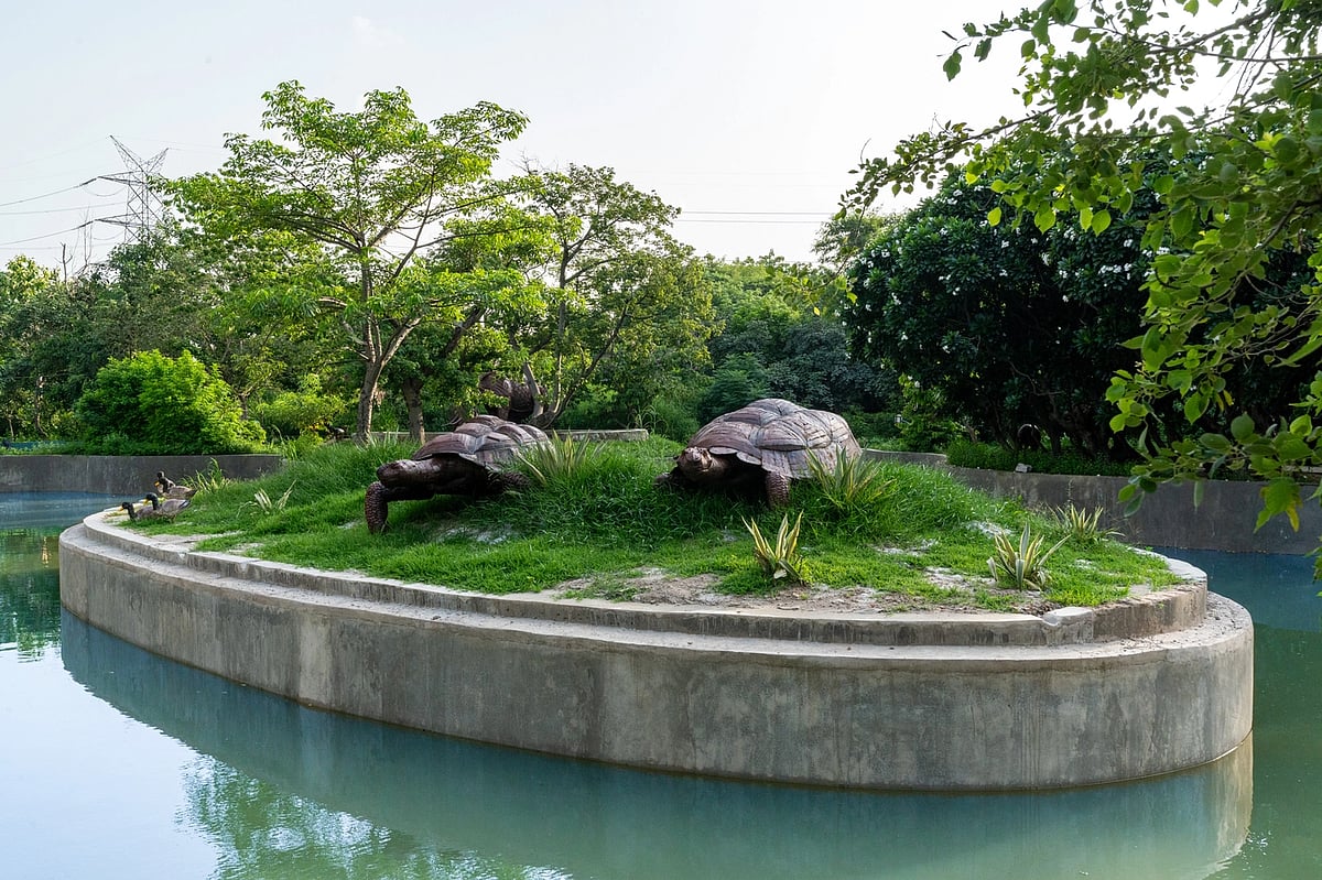 Artificial tortoises made from scrap metal on display at Noida’s Jungle Trail Park