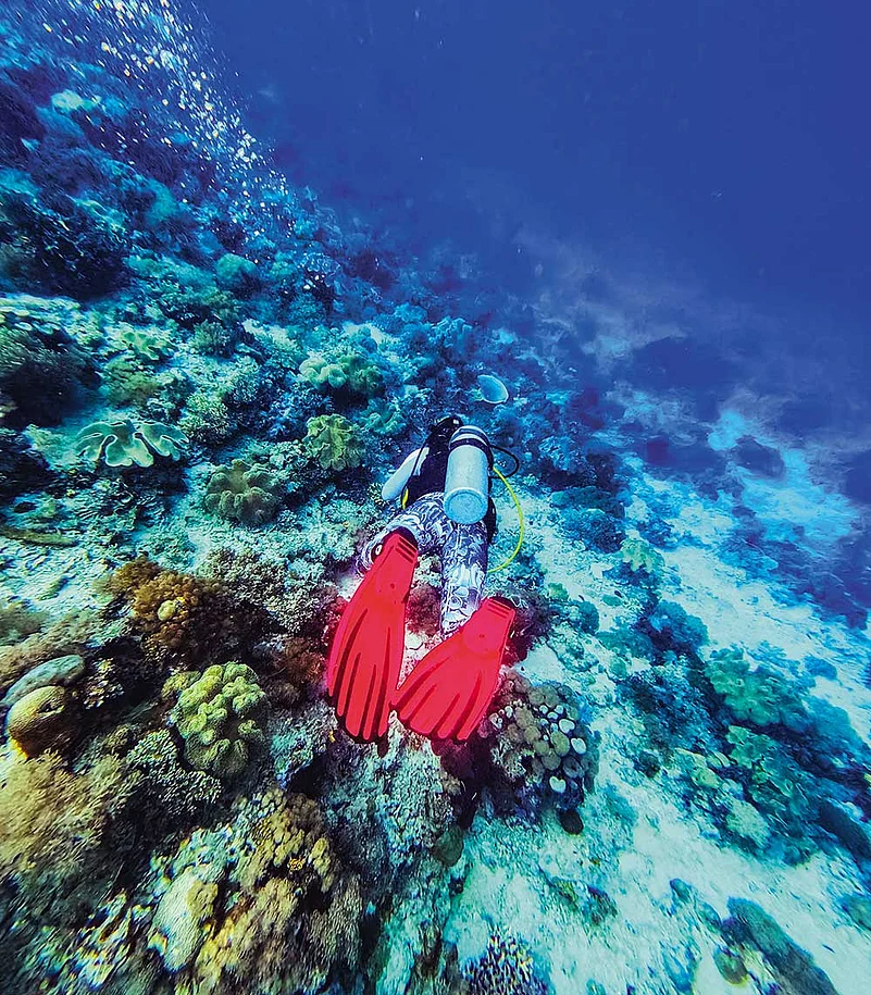 Exploring a world of coral and marine life