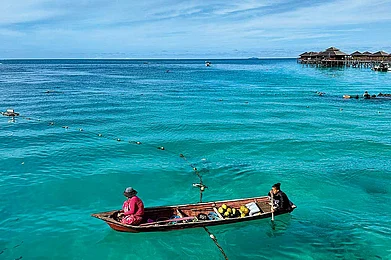 Kiran Jain : Every evening, the Bajau boat would pass by the dive centre, with fresh catch and basic supplies