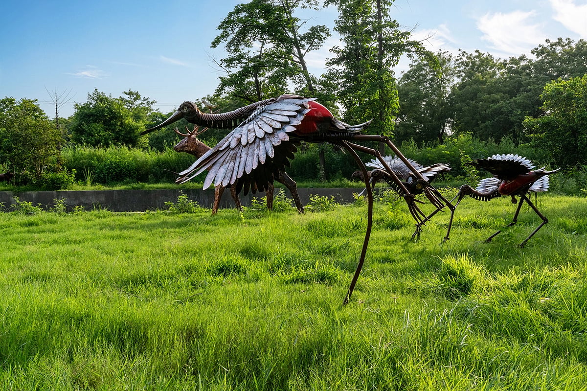 Cranes made from scrap metal stand tall at Noida’s Jungle Trail Park