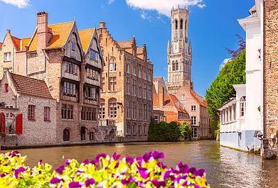 Shutterstock : Bruges’ medieval Belfort rises above the Rosary Quay