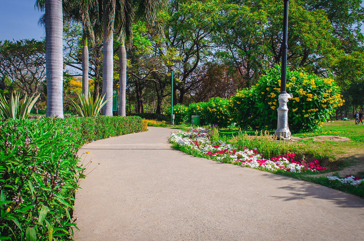 Shutterstock : New Delhi Municipal Council vice chairman Kuljeet Singh Chahal visited the park to review potential locations for a proposed sculpture park