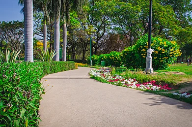 Shutterstock : New Delhi Municipal Council vice chairman Kuljeet Singh Chahal visited the park to review potential locations for a proposed sculpture park