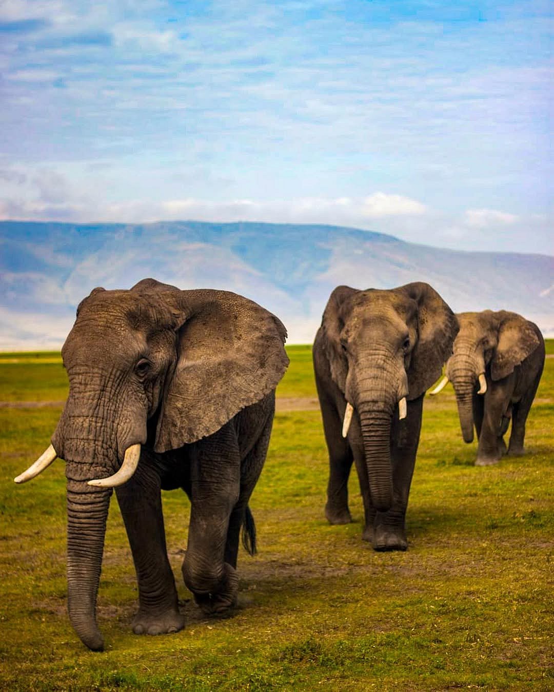 Ngorongoro Conservation Area, Tanzania