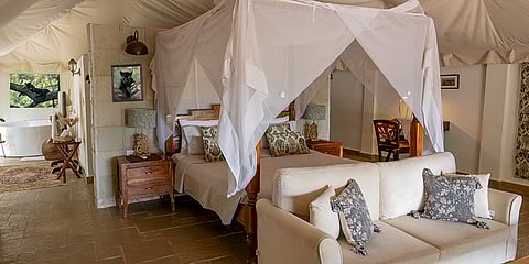 The Bison, Kabini is a raw yet romantic camp in Kabini, perfect for close encounters with elephants, leopards and wild sunsets