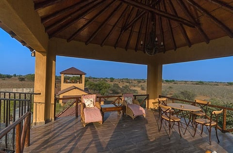 The Bamboo Forest, Tadoba offers silent electric safaris and soulful lakeside living