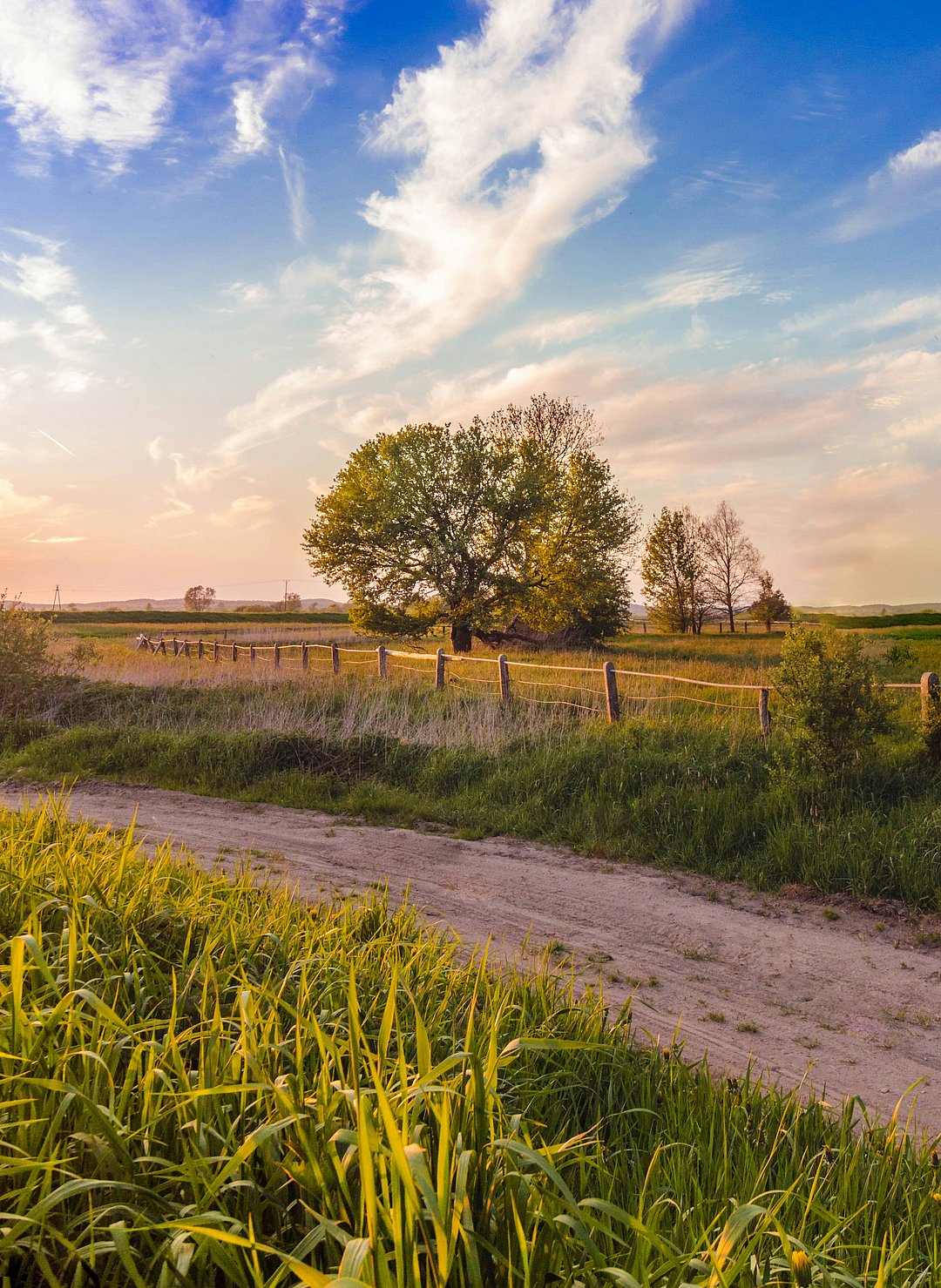 Countryside Trzebiatów, Polska (representational image)