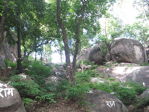 Kachasila Hill, a significant spot near Mayong, is known for its ancient Shiva temple, and beautiful views