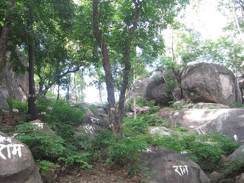 Kachasila Hill, a significant spot near Mayong, is known for its ancient Shiva temple, and beautiful views