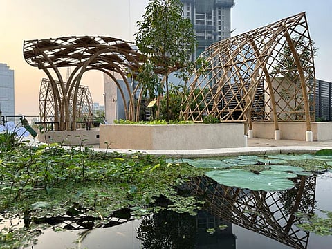 Grow Lab, Museum Of Solutions