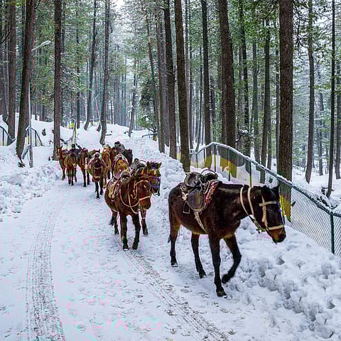 A view of the winter landscape of Pahalgam