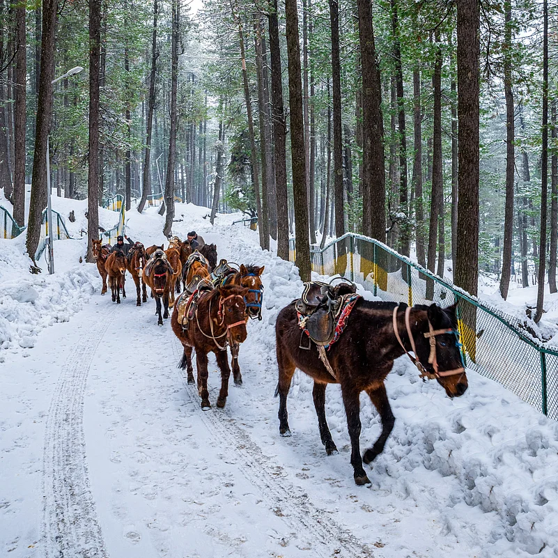 A view of the winter landscape of Pahalgam
