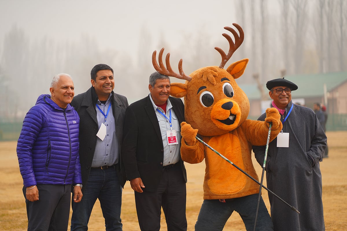 Haanglu, the official mascot of the 17th ATOAI convention. 