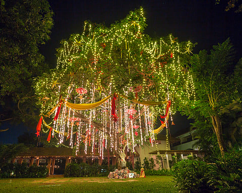 A tree decorated with lights during Christmas in South Goa