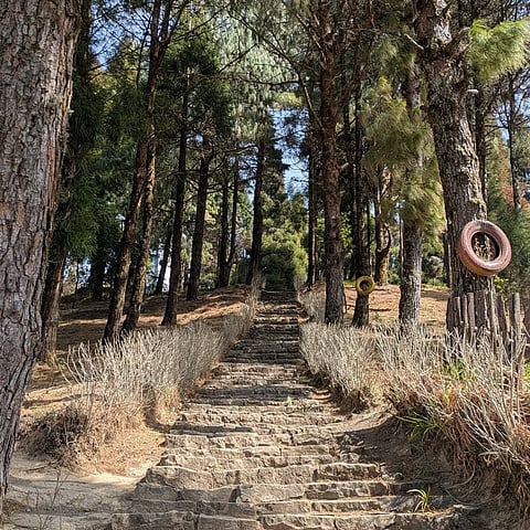 Pfütsero offers Nagaland’s highest and coldest town experience