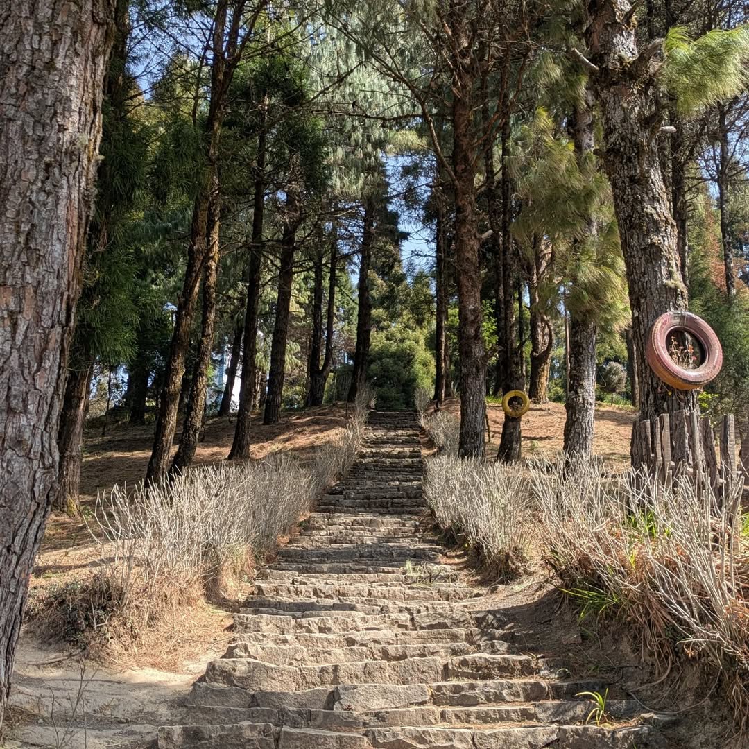 Pfütsero offers Nagaland’s highest and coldest town experience