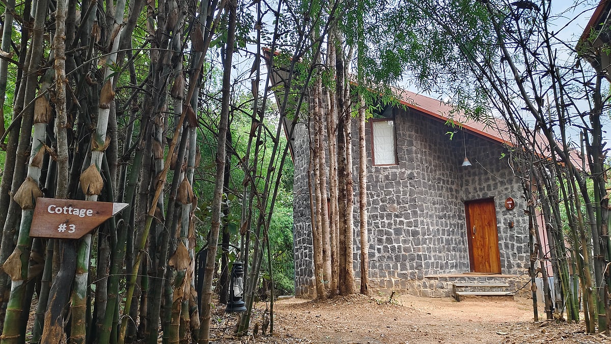 My cottage during my stay at Pench Tree Lodge