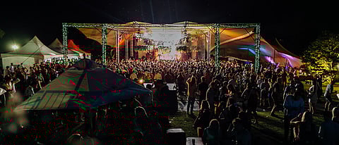 Countdown among vineyards; Highlife, Waiheke Island, Auckland