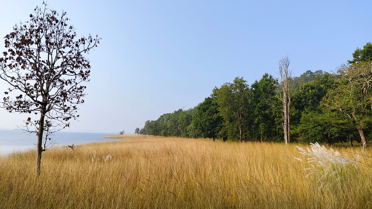 An area outside the forest, Pench National Park