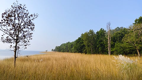 An area outside the forest, Pench National Park