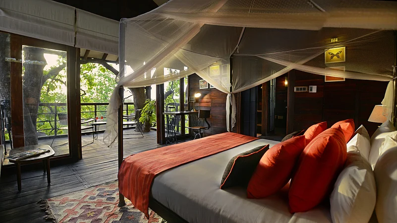 Interiors of a tree house, Pench Tree Lodge