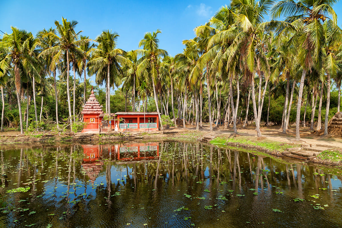 A small temple amid palm trees in Odisha