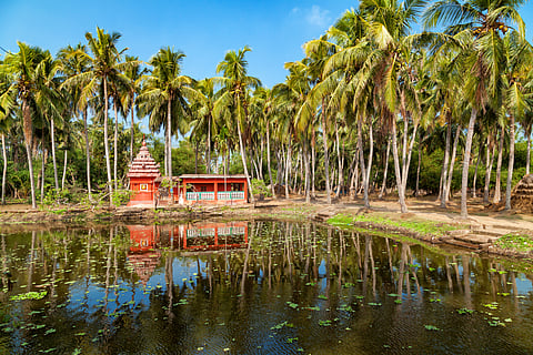 A small temple amid palm trees in Odisha