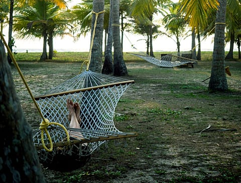 spend a lazy afternoon browsing in a hammock in a coconut grove at CGH Earth Marari Beach