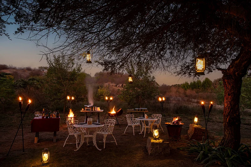 Dine in the heart of Jawai forest, under the stars with the sounds and whispers of the jungle at Cheetahgarh Resort And Spa