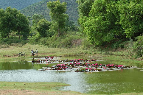 Nilgiri Biosphere Reserve