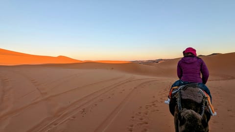 Exploring the hidden corners of the world and the words that give them shape, meaning, and magic