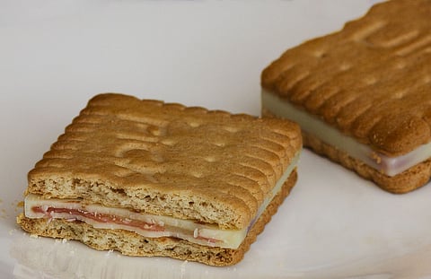 Leibniz Pick-Up in wildberry