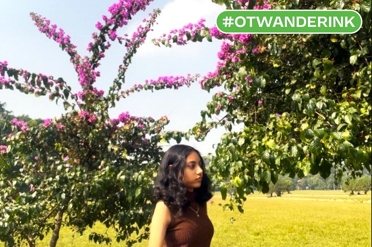 Author : The author at Forest Research Institute