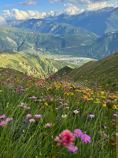 Unsplash : These valleys are known to cause sudden travel cravings