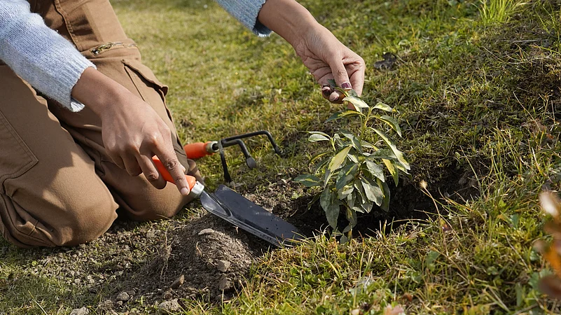 Planting a sapling as part of Good Travel with Marriott Bonvoy initiative