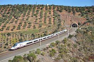 At Least 40 Killed As High-Speed Trains Collide In Southern Spain