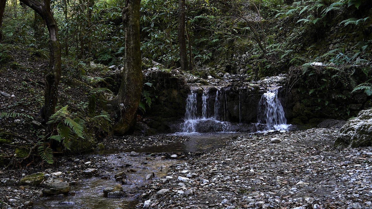 A waterfall inside Mussoorie Wildlife Sanctuary 