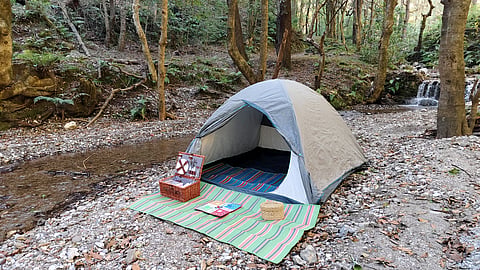 A tent set up inside Mussoorie Wildlife Sanctuary