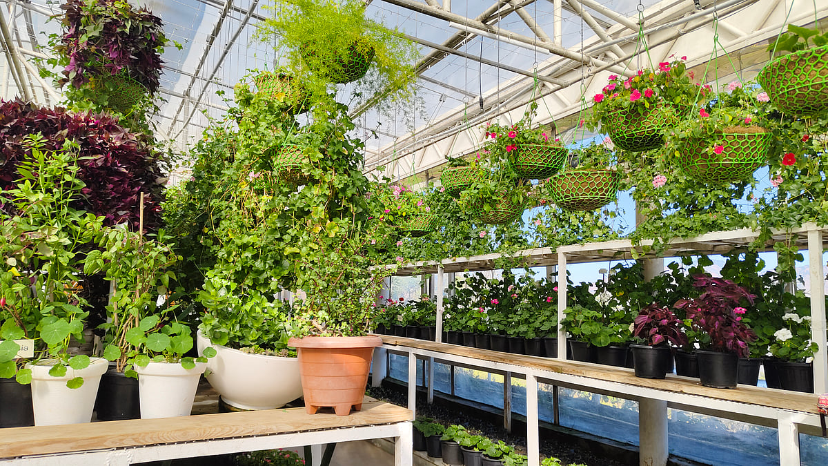 Glass greenhouse at JW Marriott Mussoorie Walnut Grove Resort and Spa