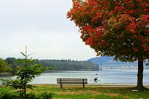 Chasing Autumn Colours In Vancouver: A Two-Day Fall Escape