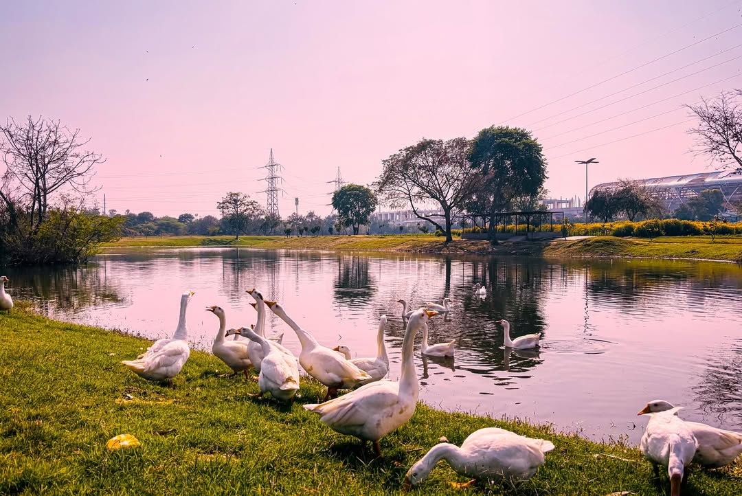 Inside Bansera Park, New Delhi